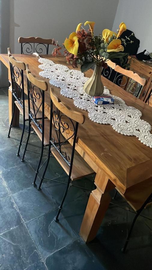 Homestay Plantar E Cuidar *