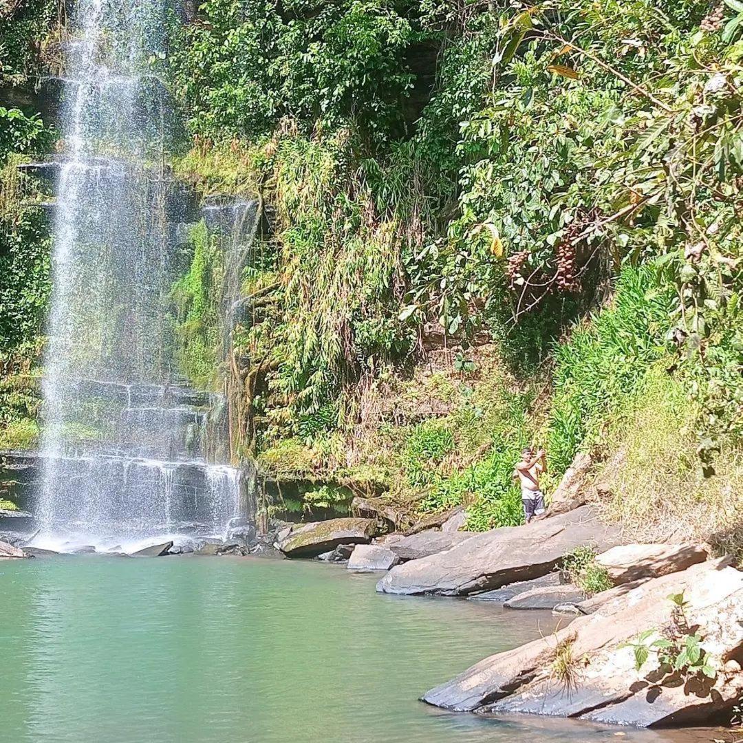 Homestay Plantar E Cuidar