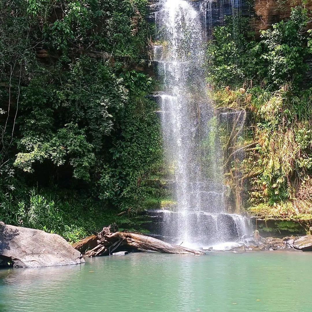 Plantar E Cuidar Homestay *