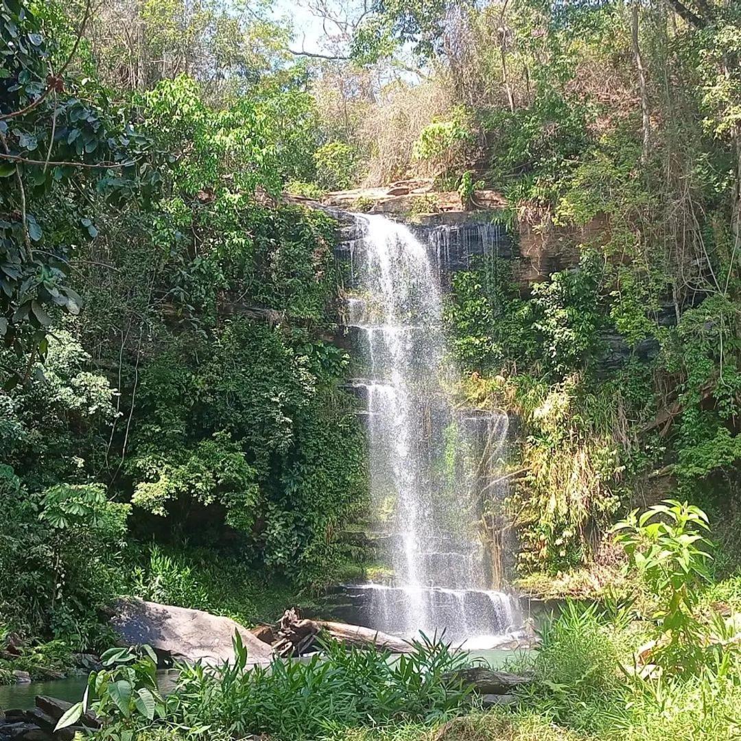 Plantar E Cuidar Homestay