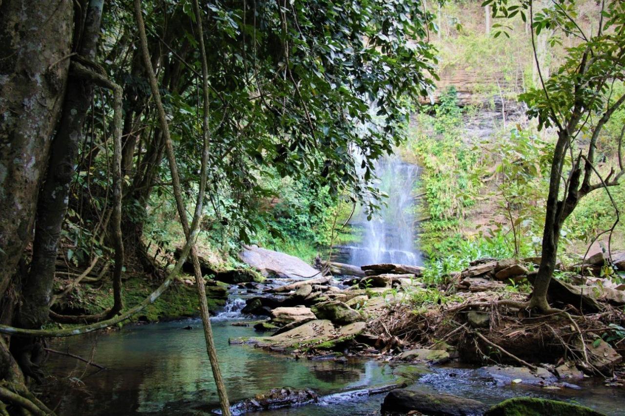 Homestay Plantar E Cuidar Santa Cruz do Escalvado