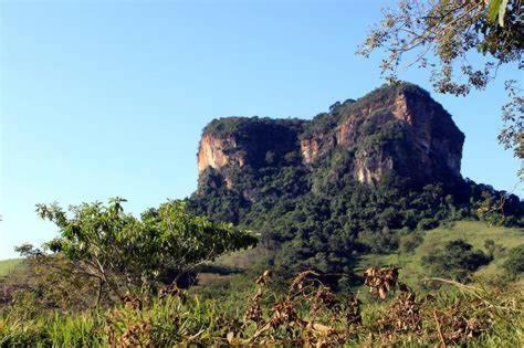 Plantar E Cuidar Homestay *