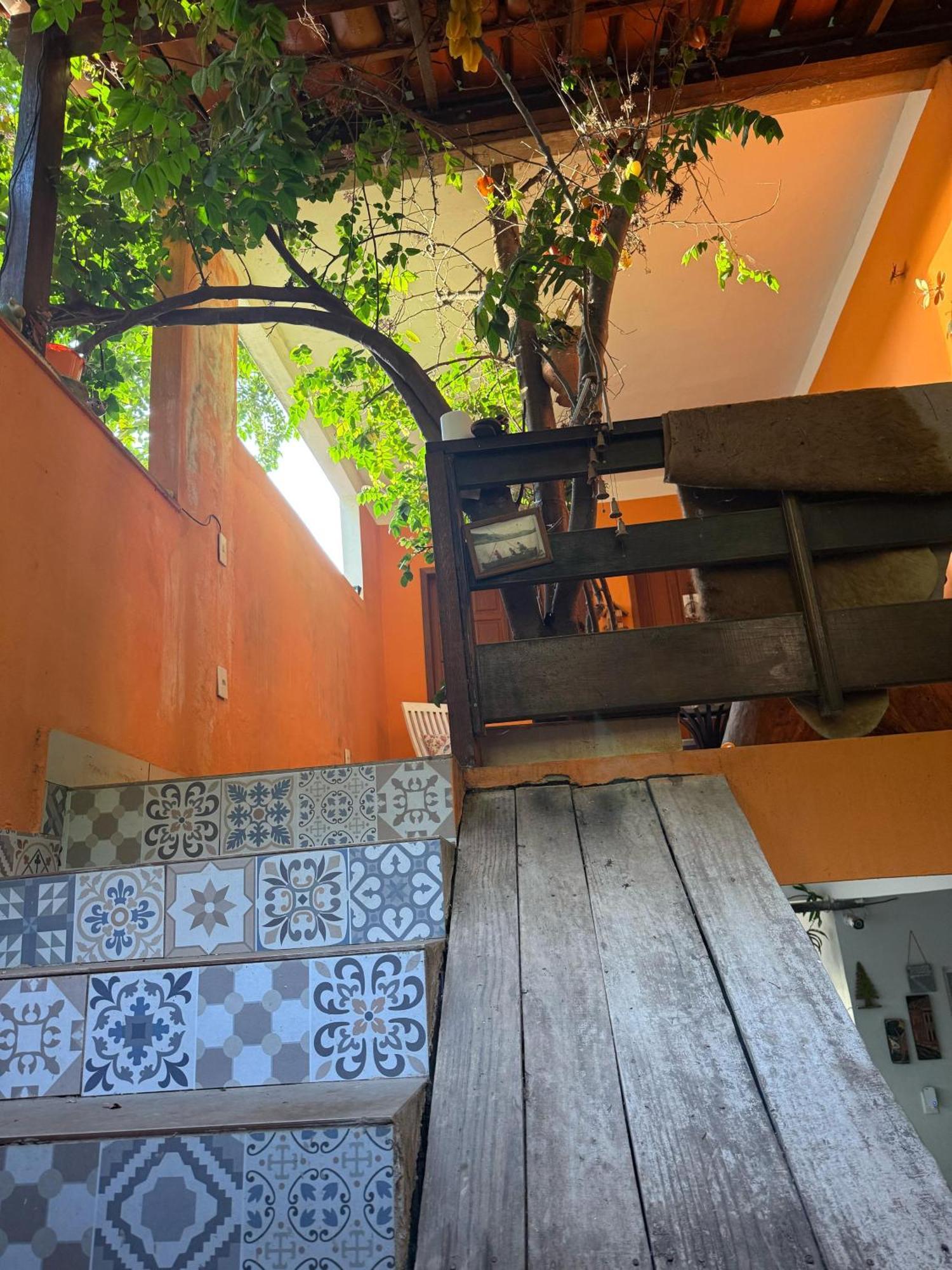 Plantar E Cuidar Homestay
