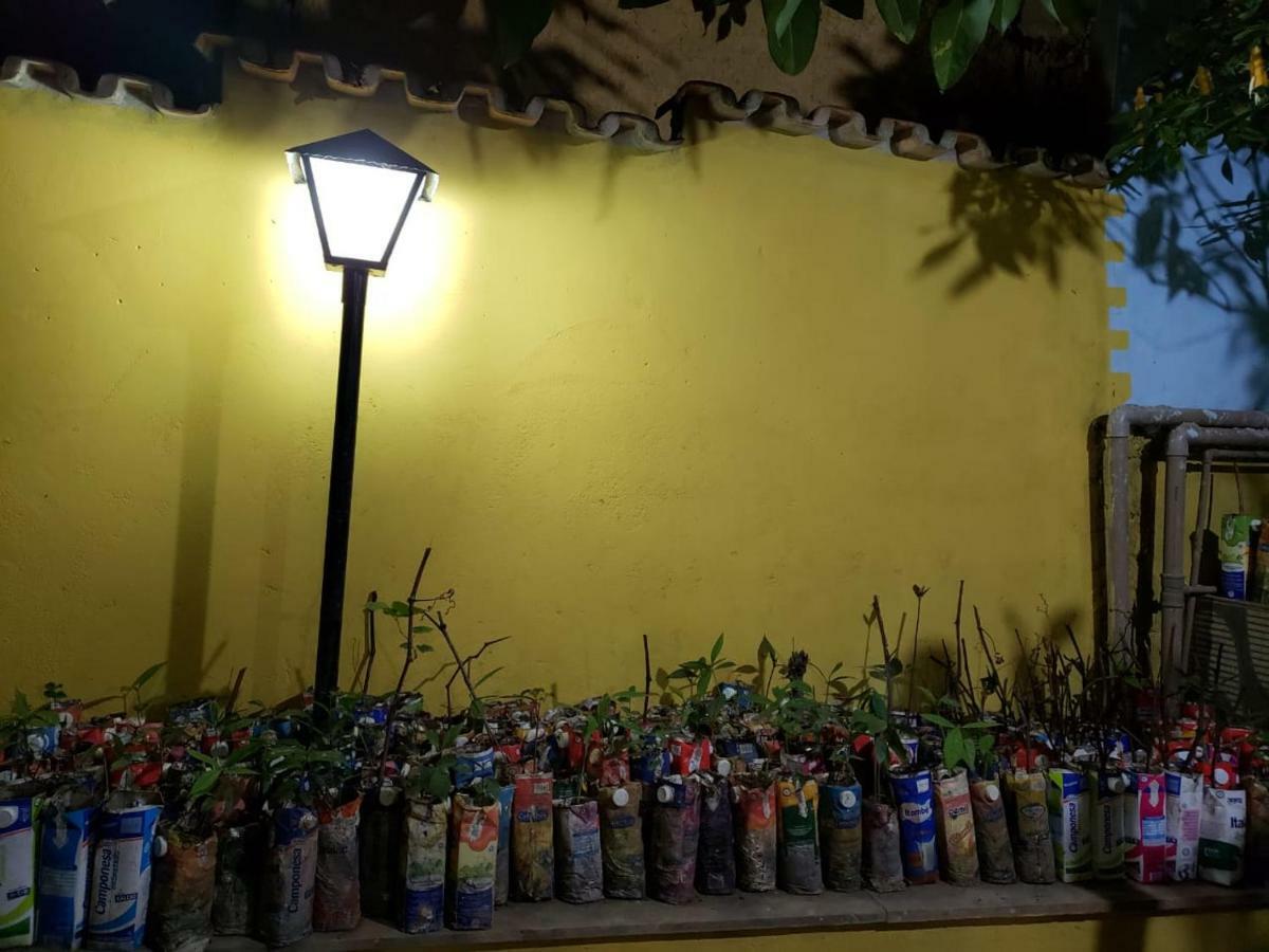 Homestay Plantar E Cuidar *