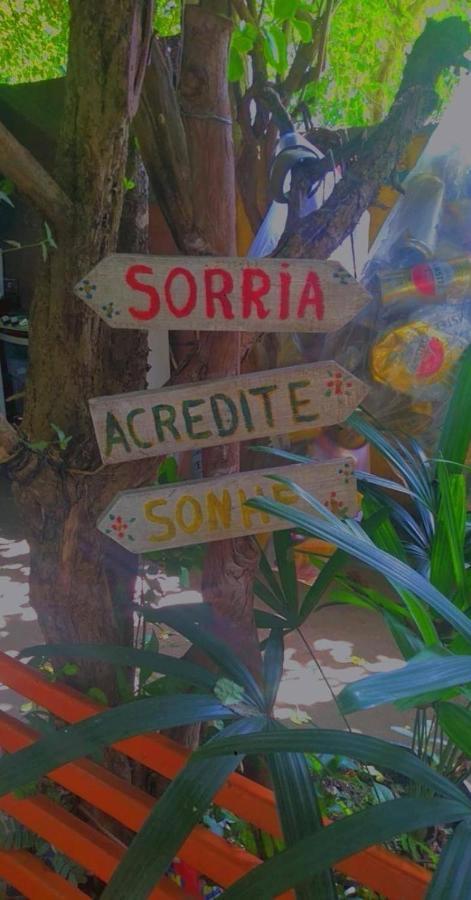 Homestay Plantar E Cuidar
